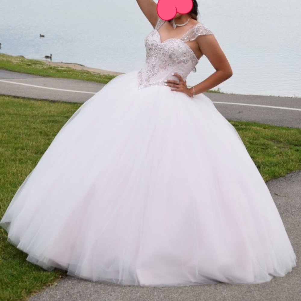 Quinceañera Dress/Princess Gown